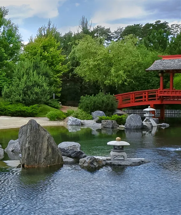 Сад «Остров черепахи»