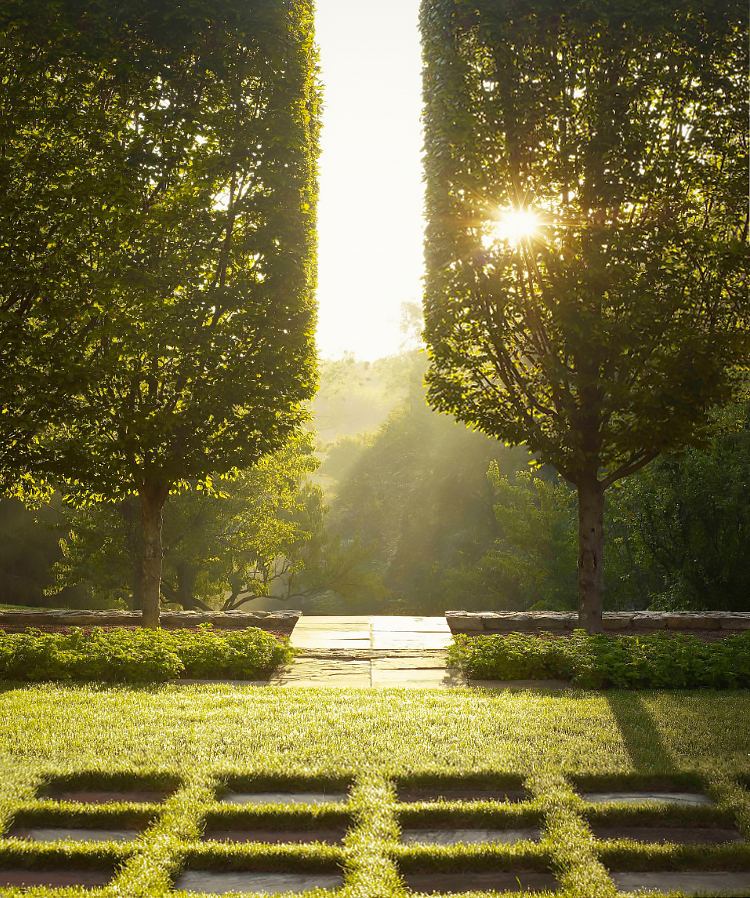 Регулярность работ для качественного ухода за садом