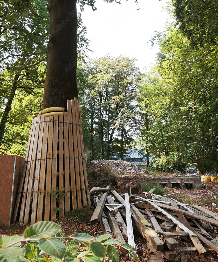 Мероприятия по защите существующих деревьев перед проведением строительных работ